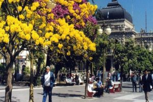 ANSES Tucumán: oficinas, teléfonos y turnos